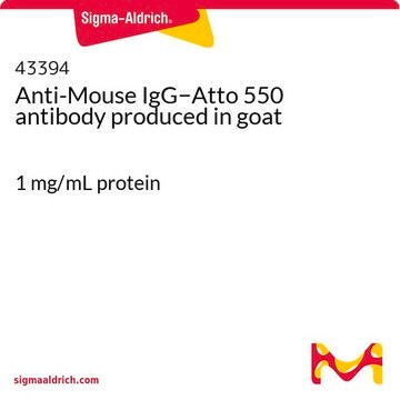 Anti-Mouse IgG&#8722;Atto 550 antibody produced in goat 1&#160;mg/mL protein