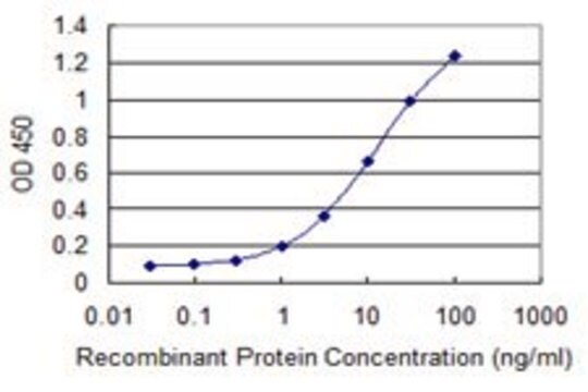 Monoclonal Anti-MSL2L1 antibody produced in mouse clone 3A4, purified immunoglobulin, buffered aqueous solution