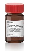 Collagenase from Clostridium histolyticum high purity, purified by chromatography, Type VII, &#8805;4&#160;FALGPA units/mg solid, lyophilized powder, &#8805;700&#160;CDU/mg solid (CDU = collagen digestion units)