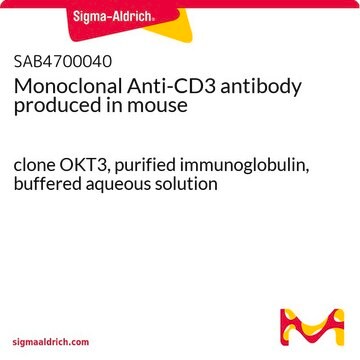 Monoclonal Anti-CD3 antibody produced in mouse clone OKT3, purified immunoglobulin, buffered aqueous solution