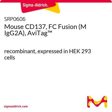 Mouse CD137, FC Fusion (M IgG2A), AviTag&#8482; recombinant, expressed in HEK 293 cells