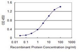 Monoclonal Anti-SSTR1, (N-terminal) antibody produced in mouse clone 1F7, purified immunoglobulin, buffered aqueous solution