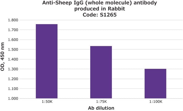 Anti-Sheep IgG (whole molecule) antibody produced in rabbit IgG fraction of antiserum, buffered aqueous solution