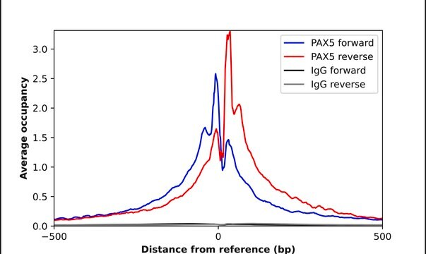 Anti-PAX5 antibody produced in rabbit Prestige Antibodies&#174; Powered by Atlas Antibodies, affinity isolated antibody