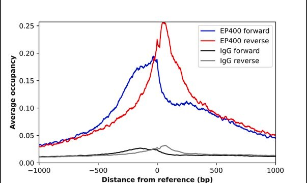 Anti-EP400 antibody produced in rabbit Prestige Antibodies&#174; Powered by Atlas Antibodies, affinity isolated antibody