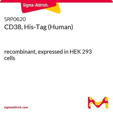 CD38, His-Tag (Human) recombinant, expressed in HEK 293 cells