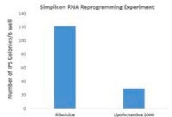RiboJuice mRNA Transfection Kit