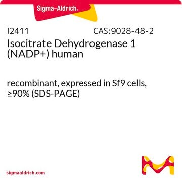 Isocitrate Dehydrogenase 1 (NADP+) human recombinant, expressed in Sf9 cells, &#8805;90% (SDS-PAGE)