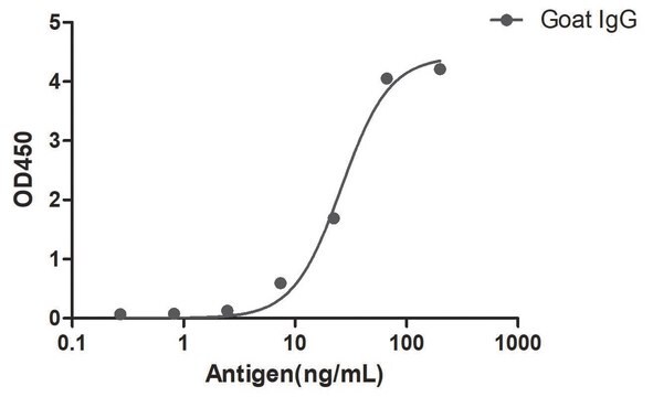 Rabbit Anti-Goat IgG(Fc&#947;) HRP Alpaca Heavy chain only Antibody recombinant Alpaca(VHH) Nano antibody