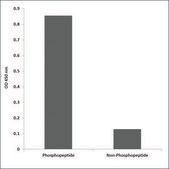 Anti-phospho-Opioid Receptor-&#948; (pSer363) antibody produced in rabbit affinity isolated antibody