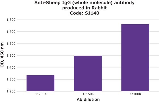 Anti-Sheep IgG (whole molecule) antibody produced in rabbit whole antiserum