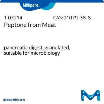 Peptone from Meat pancreatic digest, granulated, suitable for microbiology