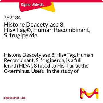Histone Deacetylase 8, His&#8226;Tag&#174;, Human Recombinant, S. frugiperda Histone Deacetylase 8, His&#8226;Tag, Human Recombinant, S. frugiperda, is a full length HDAC8 fused to His-Tag at the C-terminus. Useful in the study of HDAC8 regulation and for inhibitor screening.