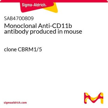 Monoclonal Anti-CD11b antibody produced in mouse clone CBRM1/5