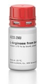 L-Arginase from bovine liver Protein &#8805;70&#160;% by biuret, powder