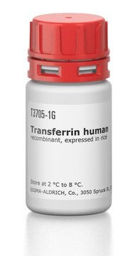 Transferrin human Optiferrin&#8482;, recombinant, expressed in rice