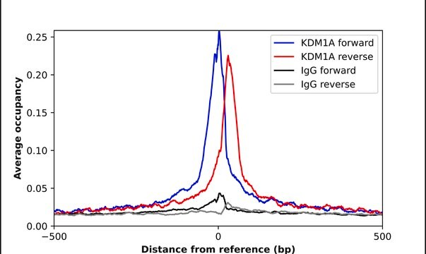 Anti-KDM1A antibody produced in rabbit Prestige Antibodies&#174; Powered by Atlas Antibodies, affinity isolated antibody