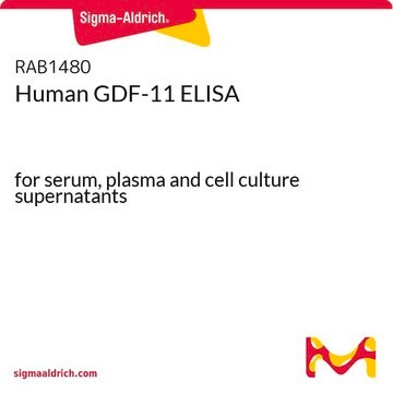 Human GDF-11 ELISA for serum, plasma and cell culture supernatants