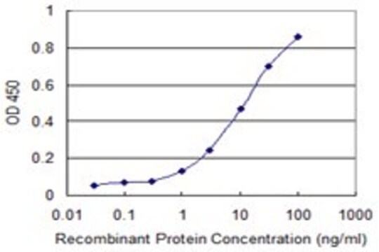 Monoclonal Anti-RBL2 antibody produced in mouse clone 2H7, purified immunoglobulin, buffered aqueous solution