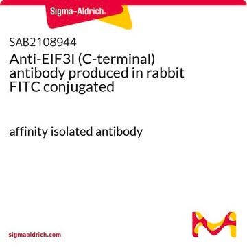 Anti-EIF3I (C-terminal) antibody produced in rabbit FITC conjugated affinity isolated antibody