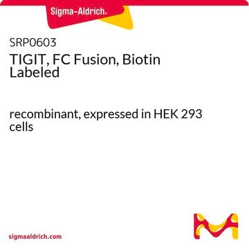 TIGIT, FC Fusion, Biotin Labeled recombinant, expressed in HEK 293 cells