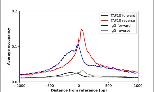 Anti-TAF10 antibody produced in rabbit Prestige Antibodies&#174; Powered by Atlas Antibodies, affinity isolated antibody, buffered aqueous glycerol solution