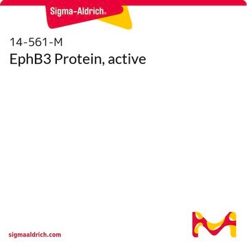 EphB3 Protein, active