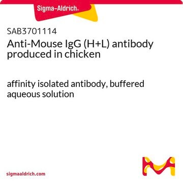 Anti-Mouse IgG (H+L) antibody produced in chicken affinity isolated antibody, buffered aqueous solution