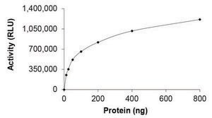 KRAS (Mature Form), Active PRECISIO&#174; Kinase, recombinant