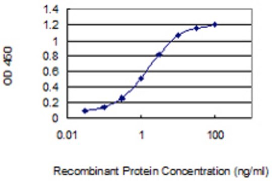 Monoclonal Anti-SPINK6 antibody produced n mouse clone 3C10, purified immunoglobulin, buffered aqueous solution