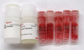 REDExtract-N-Amp&#8482; Plant PCR Kit sufficient for 100&#160;extractions, sufficient for 500&#160;amplifications