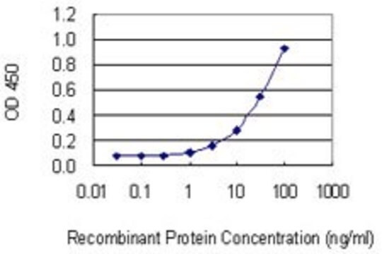 Monoclonal Anti-SULF2 antibody produced in mouse clone 2H5, purified immunoglobulin, buffered aqueous solution