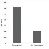Anti-phospho-PLK1 (pThr210) antibody produced in rabbit affinity isolated antibody