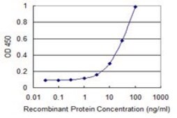 Monoclonal Anti-TAGLN antibody produced in mouse clone 1D11, purified immunoglobulin, buffered aqueous solution