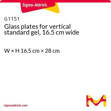 Glass plates for vertical standard gel, 16.5 cm wide W × H 16.5&#160;cm × 28&#160;cm