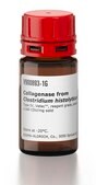 Collagenase from Clostridium histolyticum Type IV, Vetec&#8482;, reagent grade, powder, &#8805;160&#160;CDU/mg solid