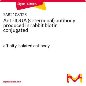 Anti-IDUA (C-terminal) antibody produced in rabbit biotin conjugated affinity isolated antibody