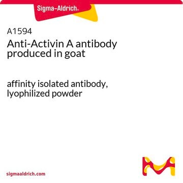 Anti-Activin A antibody produced in goat affinity isolated antibody, lyophilized powder