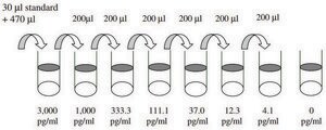 Rat TIMP-1 ELISA Kit for serum, plasma and cell culture supernatant