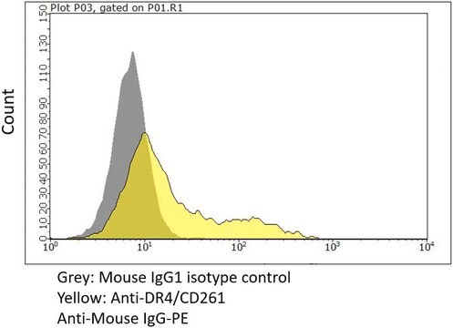 Anti-DR4/CD261 Antibody, clone DJR1