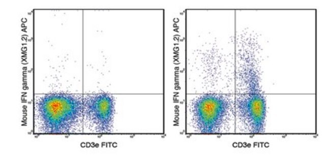 Anti-mouse IFN gamma, APC, clone XMG1.2 Antibody clone XMG1.2, from rat, Allophycocyanin conjugate