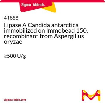 Lipase A Candida antarctica immobilized on Immobead 150, recombinant from Aspergillus oryzae &#8805;500&#160;U/g