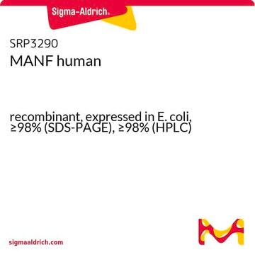 MANF human recombinant, expressed in E. coli, &#8805;98% (SDS-PAGE), &#8805;98% (HPLC)