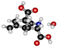 Kainic acid monohydrate &#8805;99% (TLC)