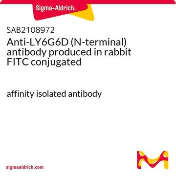 Anti-LY6G6D (N-terminal) antibody produced in rabbit FITC conjugated affinity isolated antibody