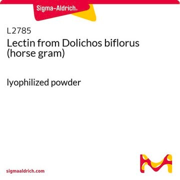 Lectin from Dolichos biflorus (horse gram) lyophilized powder