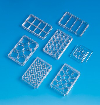 Nunclon&#174; &#916; Multidishes 6 wells, flat bottom, poly-D-lysine coated