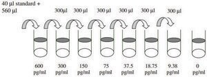 Mouse SDF-1 &#945; / CXCL12 &#945; ELISA Kit for serum, plasma and cell culture supernatant