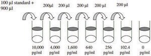 Human bFGF ELISA Kit for cell and tissue lysates