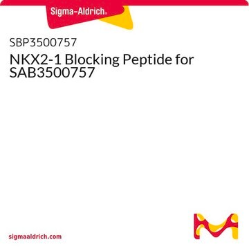 NKX2-1 Blocking Peptide for SAB3500757